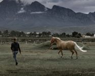 CT2A2677-Enhanced-NR